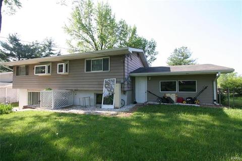 1109 Bromfield Ter, Manchester, MO 63021 photo 35