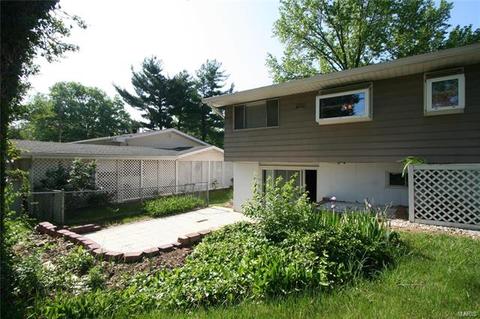 1109 Bromfield Ter, Manchester, MO 63021 photo 37