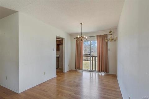 310 Ries Ct, Ballwin, MO 63021 photo 19