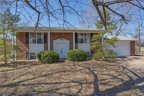 310 Ries Ct, Ballwin, MO 63021 photo 1