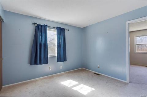 310 Ries Ct, Ballwin, MO 63021 photo 11