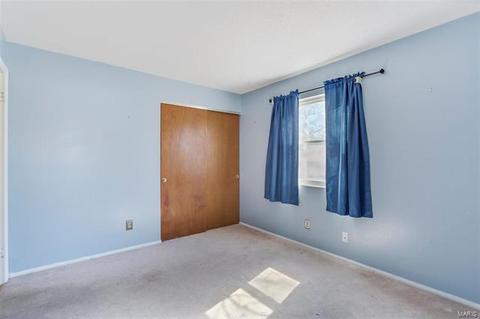 310 Ries Ct, Ballwin, MO 63021 photo 10