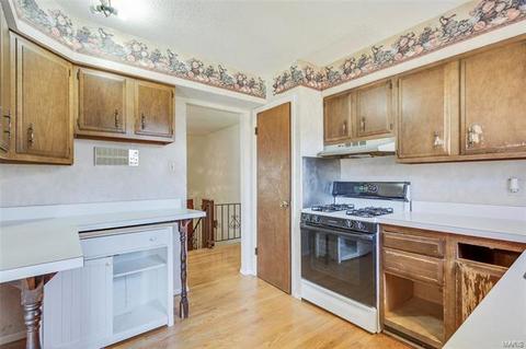310 Ries Ct, Ballwin, MO 63021 photo 17