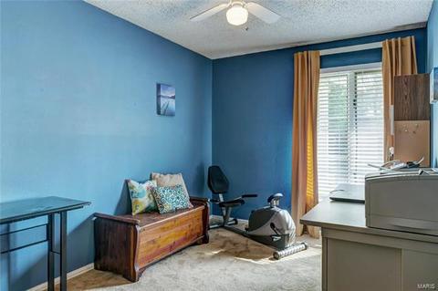913 Almond Hill Ct, Manchester, MO 63021 photo 21