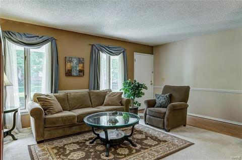 913 Almond Hill Ct, Manchester, MO 63021 photo 3