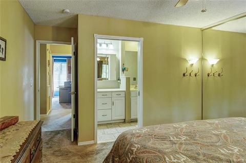 913 Almond Hill Ct, Manchester, MO 63021 photo 18