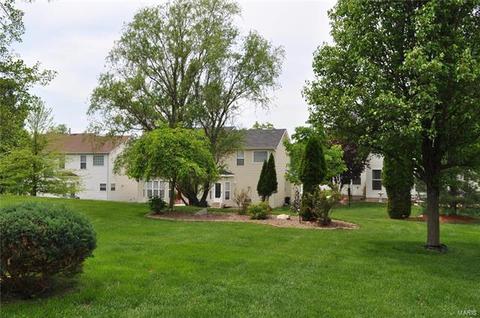1221 Arbor Bluff Cir, Ballwin, MO 63021 photo 20