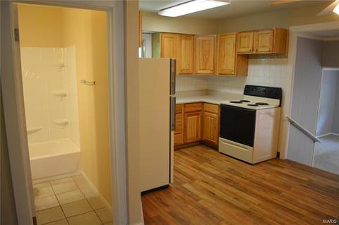 19 W North St, Eureka, MO 63025 photo 11