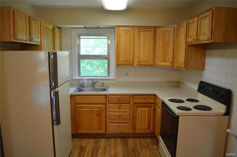 19 W North St, Eureka, MO 63025 photo 12