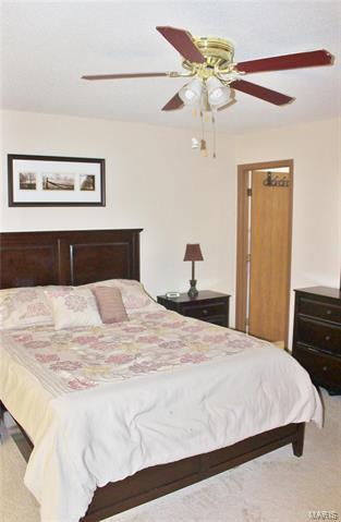 610 Durango Dr, O'fallon, MO 63368 photo 23