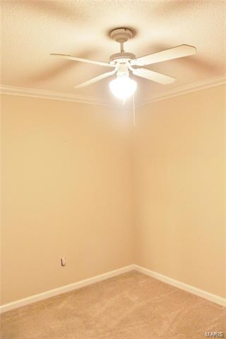 610 Durango Dr, O'fallon, MO 63368 photo 19
