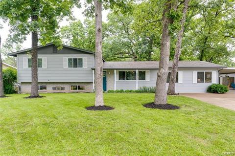 20 Pershing Cir, O'fallon, MO 63366 photo 1