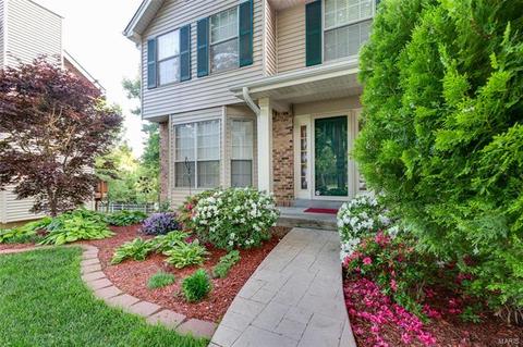 238 Westridge Parc Ln, Ellisville, MO 63021 photo 53