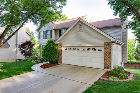 238 Westridge Parc Ln, Ellisville, MO 63021 photo 55