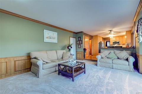 238 Westridge Parc Ln, Ellisville, MO 63021 photo 18