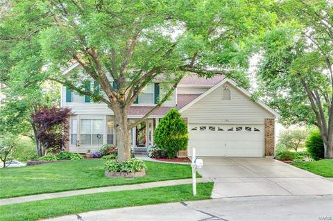 238 Westridge Parc Ln, Ellisville, MO 63021 photo 51