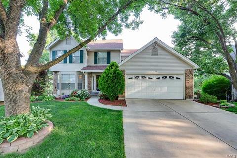 238 Westridge Parc Ln, Ellisville, MO 63021 photo 56