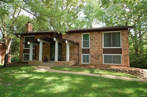 1012 Providence Dr, Ellisville, MO 63011 photo 1