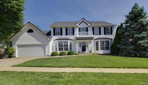 16149 Copper Lantern Dr, Grover, MO 63040 photo 1