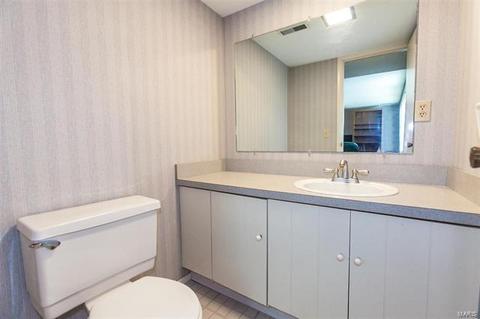817 Phaeton Dr, Manchester, MO 63021 photo 23