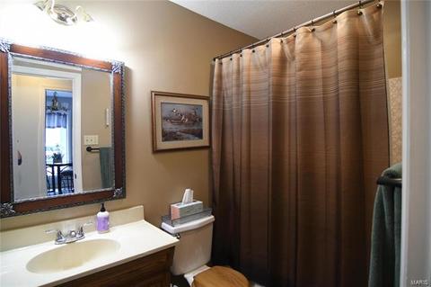 1020 Hollyleaf Ct, Ballwin, MO 63021 photo 9
