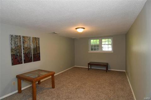1020 Hollyleaf Ct, Ballwin, MO 63021 photo 16