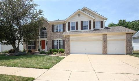 876 Kiefer Trails Dr, Ballwin, MO 63021 photo 1