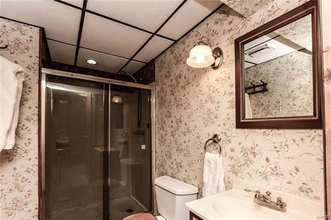 14 Hedgewood Ln, Manchester, MO 63011 photo 20