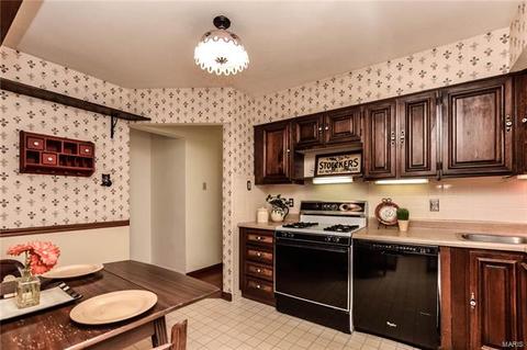 14 Hedgewood Ln, Manchester, MO 63011 photo 11