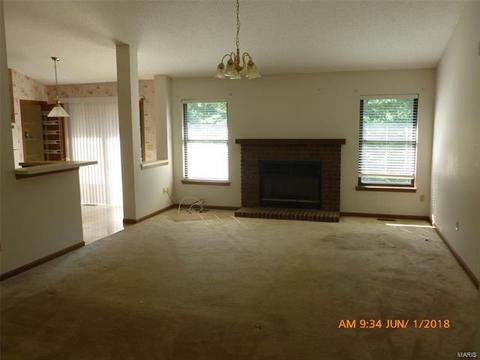 1014 Anna Meadows Ln, Ballwin, MO 63021 photo 14