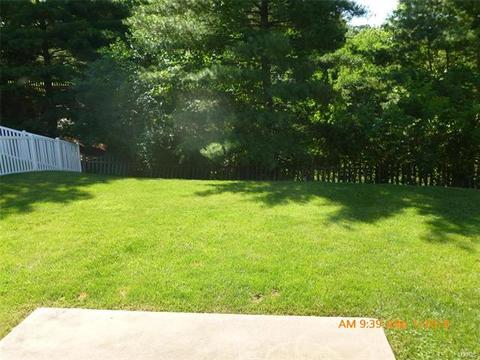 1014 Anna Meadows Ln, Ballwin, MO 63021 photo 16