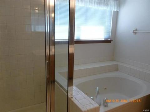 1014 Anna Meadows Ln, Ballwin, MO 63021 photo 11