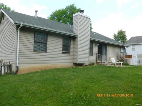 1014 Anna Meadows Ln, Ballwin, MO 63021 photo 13