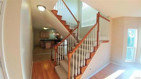 1233 Arbor Bluff Cir, Ballwin, MO 63021 photo 17