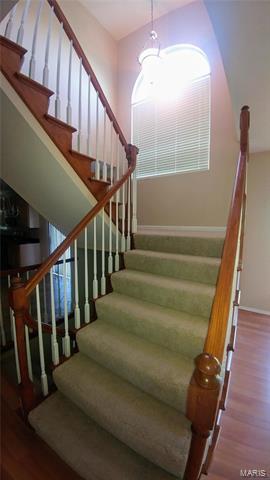 1233 Arbor Bluff Cir, Ballwin, MO 63021 photo 18
