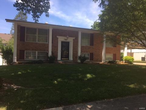 913 Sherwick Ter, Manchester, MO 63021 photo 1