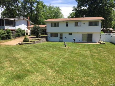 913 Sherwick Ter, Manchester, MO 63021 photo 16