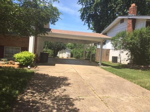 913 Sherwick Ter, Manchester, MO 63021 photo 2