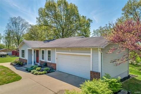 46 Susan Ave, O'fallon, MO 63368 photo 41