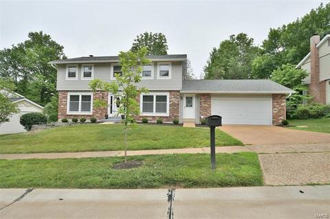 738 Muir View Dr, Ballwin, MO 63011 photo 1