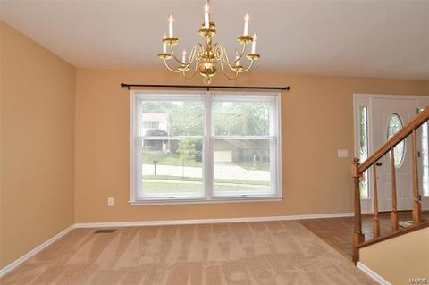 738 Muir View Dr, Ballwin, MO 63011 photo 14