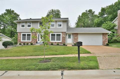 738 Muir View Dr, Ballwin, MO 63011 photo 38