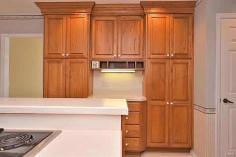 738 Muir View Dr, Ballwin, MO 63011 photo 9
