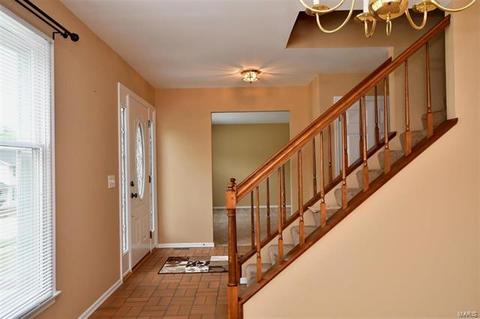 738 Muir View Dr, Ballwin, MO 63011 photo 20