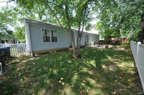 131 Lamplighter Way, O'fallon, MO 63368 photo 26