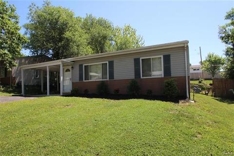 312 Lindy Blvd, Ballwin, MO 63021 photo 11