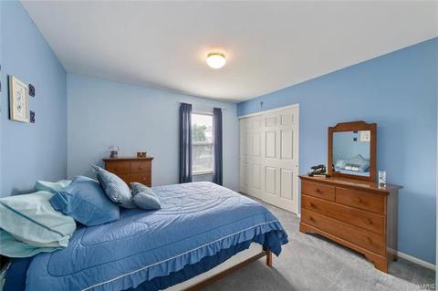 446 Winter Wind, O'fallon, MO 63366 photo 17