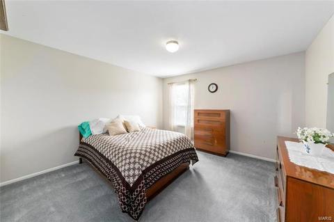 446 Winter Wind, O'fallon, MO 63366 photo 18