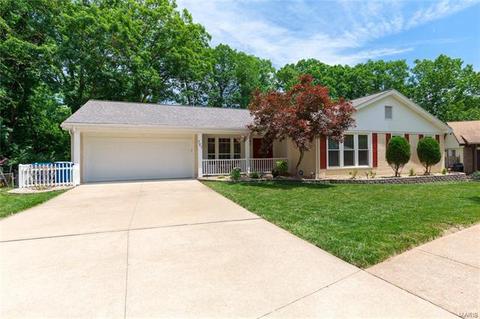 721 Shallowford Dr, Manchester, MO 63021 photo 57