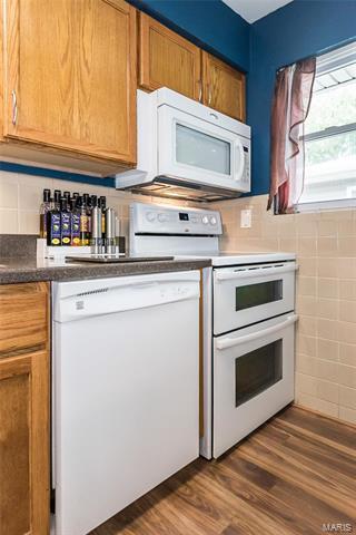 229 E Ripa Ave, Saint Louis, MO 63125 photo 13